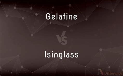 Isinglass: Een Unieke Gelatinebron voor de Textielindustrie en Sterke Draadconstructies!