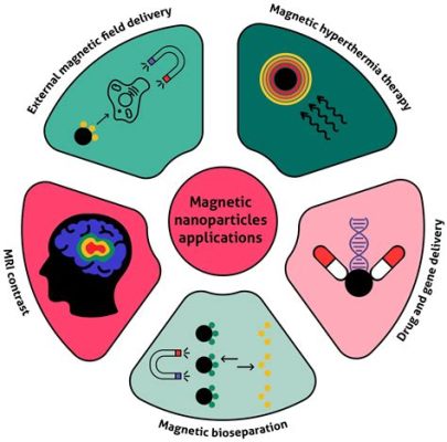  Magnetite: Een Metaal voor Magnetische Toepassingen en Biocompatibiliteit!